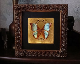 Real butterfly wall decor blue Morpho in a backlit frame / framed butterfly artwork natural history gothic home decor