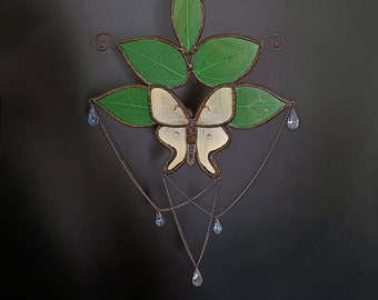 REAL LUNA MOTH I butterfly stained glass crystal suncatcher I panel for window I boho wall decor for bedroom I pressed flowers