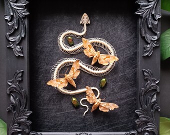 Real snake skeleton with Lime hawk-moths and beetles / insect taxidermy gothic home decor taxidermy oddities curiosities witchy frame