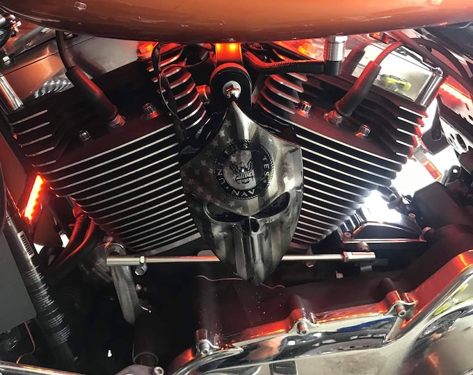 Custom Harley-Davidson horn cover with 3D Punisher flag Navy