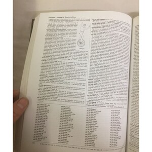 Collier's Wörterbuch L bis Z Hardcover Wörterbuch-Buch Bild 7
