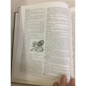 Collier's Wörterbuch L bis Z Hardcover Wörterbuch-Buch Bild 6