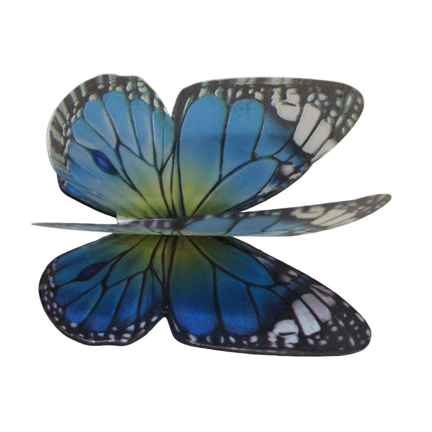 Ganz Blue Butterfly Refrigerator Blue White Black Etsy