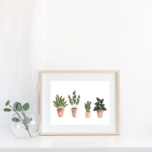 Puede incluir: Una impresión enmarcada de cuatro ilustraciones de acuarela de plantas en macetas. Las plantas están en macetas de terracota y están dispuestas en una fila. El fondo es blanco.