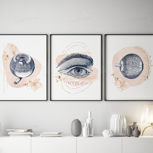 Optometry Clinic Art, Eye Anatomy Poster, Waiting Room Decor, Modern Ophthalmologist Surgeon Office, Medical Eyeball Print, Ocular 3 piece