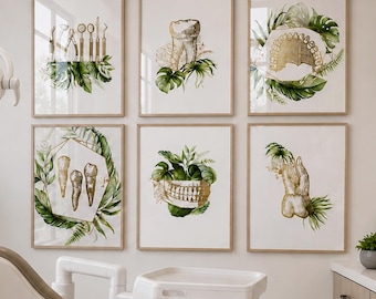 Boho Dental Anatomy Art Prints: Dentist Office Decor (Set of 6) (Digital Download)