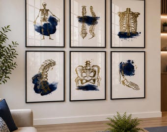 Physio clinic anatomy decor, physical therapy posters, human skeleton xray art