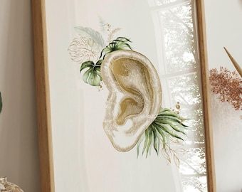 Impressão de anatomia do ouvido humano: decoração para clínica de audiologia (download digital)