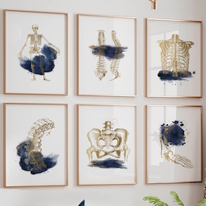 Arte de pared quiropráctico, decoración de póster de oficina de anatomía, impresiones de medicina deportiva, obras de arte ortopédicas de fisioterapia, médico azul marino