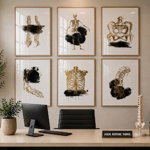 Könnte beinhalten: Sechs gerahmte Kunstdrucke mit goldfarbenen anatomischen Illustrationen des menschlichen Skeletts vor weißem Hintergrund mit schwarzen Tintenakzenten. Die Drucke werden in einem gut beleuchteten Büro an einer beigefarbenen Wand ausgestellt.