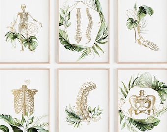 Chiropractic Wall Art, Chiro Clinic Decor, Spine Human Anatomy Art, Skeleton Poster, Medical Office Print, Set of 6 Printable
