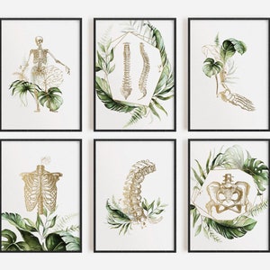 Orthopedic Art, Medical Surgeon Gift, Physical Therapy Prints, Clinic Decor, Skeleton Poster, Pelvis Art, Human Anatomy Set