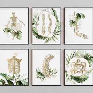 Chiropractic Wall Art, Chiro Clinic Decor, Spine Human Anatomy Art, Skeleton Poster, Medical Office Print, Set of 6 Printable