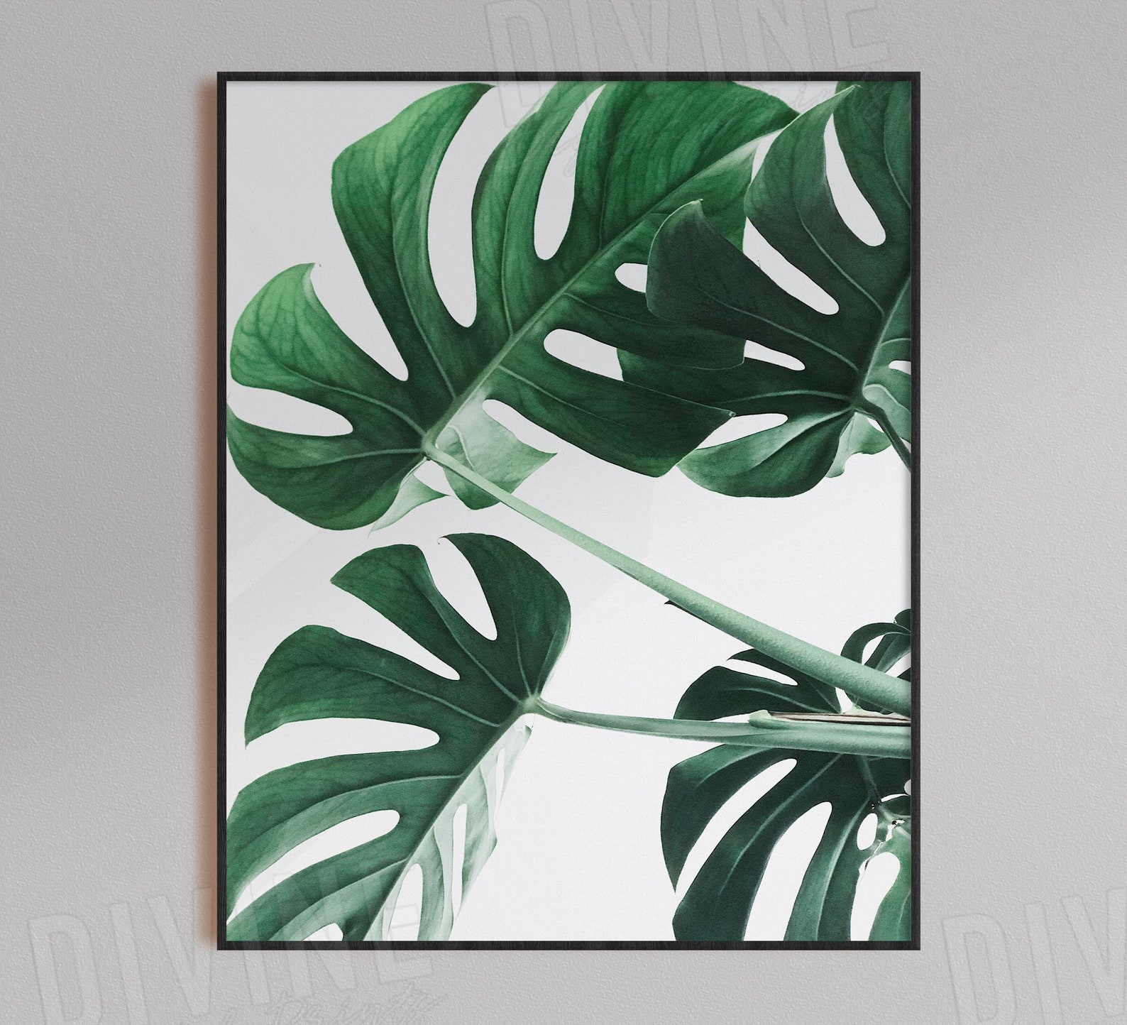 Bathroom Wall Art Botanical Spa Washroom Decor Wash Your - Etsy