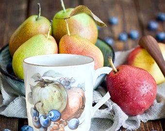 Furstenberg Germany vintage 1970s porcelain demitasse espresso tea cup fruit motif 24K gilt edging pattern 24