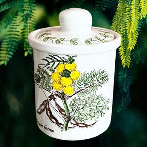 May include: White ceramic jar with a lid, decorated with a botanical illustration of yellow flowers, green leaves, and seed pods. The jar has a floral design on the lid and the words "Acacia karroo".