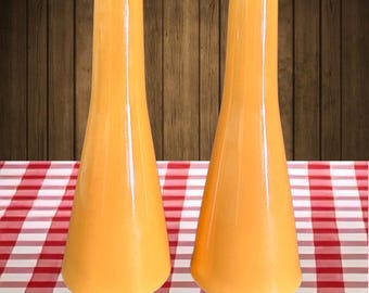 Noritake Primastone Sun Flower vintage 1970s salt and pepper shakers