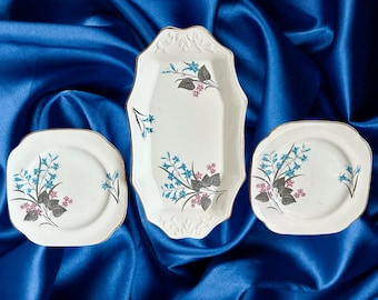 Old Foley James Kent Staffordshire vintage 1950s blue floral cake and side plates