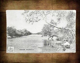 River Murray South Australia postcard vintage 1916 addressed to Mr Thomas Brown