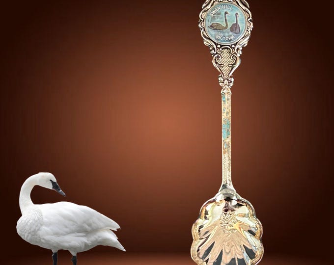 Featured listing image: Cameo by Perfection silver plate Australian made boxed souvenir spoon of Swan Hill, Victoria