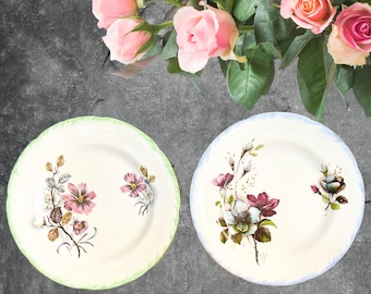 Royal Grafton 1950s mid century pair of floral bone china side plates