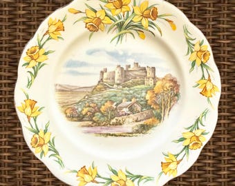 Collector Plates/Dishes