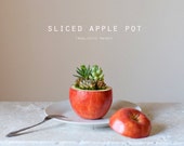 sliced　apple pot　(realistic paint）