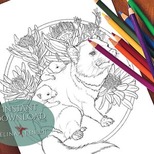 Tasmaanse duivel Australische dieren en wilde bloemen kleurplaat/digi stempel Fantasy afdrukbare download door Selina Fenech