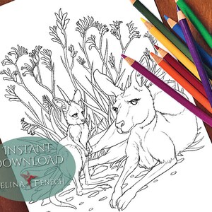 Kangourou Australien Animaux et Fleurs Sauvages Coloriage/Digi Timbre Fantasy Téléchargement Imprimable par Selina Fenech