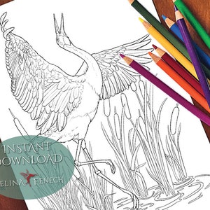 May include: A black and white line drawing of a crane standing in a marsh with reeds. The crane is in mid-flight with its wings spread wide. The drawing is suitable for coloring.