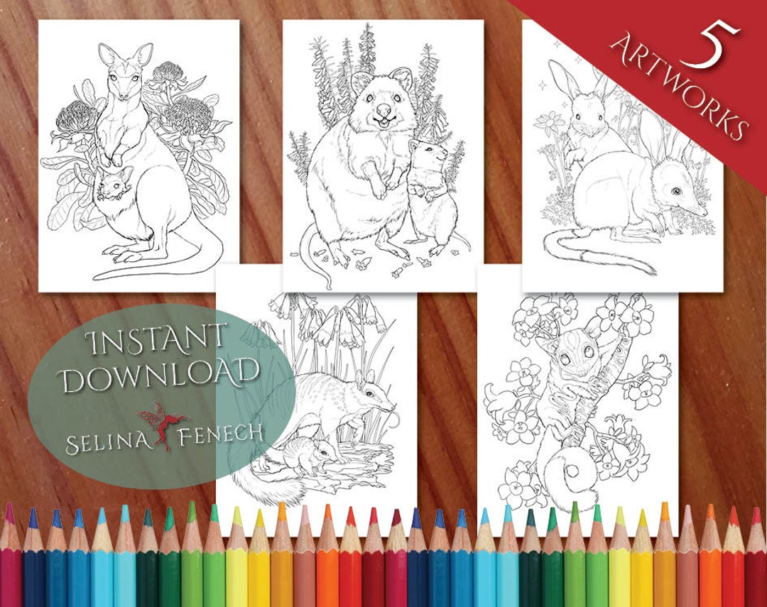 Australian Animals and Wildflowers Cute and Furry Coloring - Etsy Australian Animals and Wildflowers Cute and Furry Coloring - Etsy