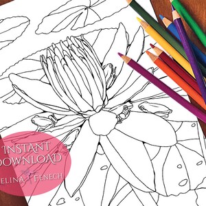 Página para colorir de lírios, sapos, lagoas e flores / Digi Stamp Fantasy para impressão, download por Selina Fenech