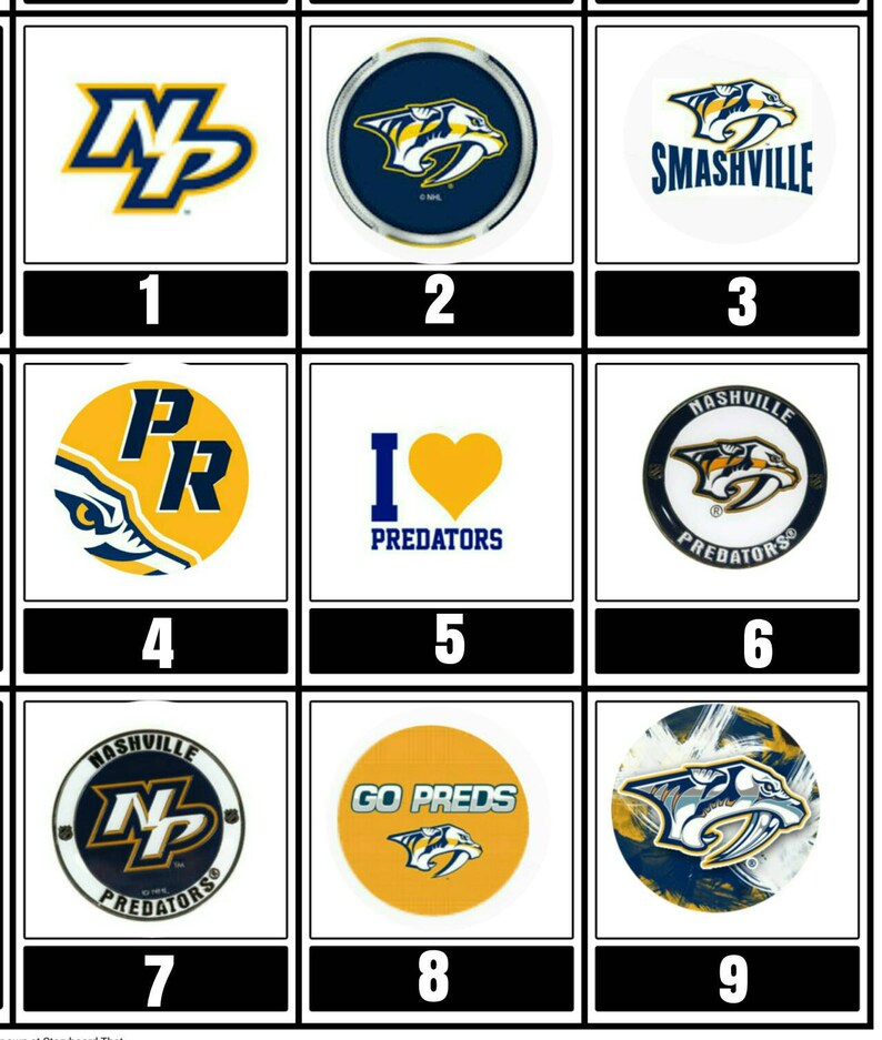 Nashville Predators paracord bracelet your choice of image
