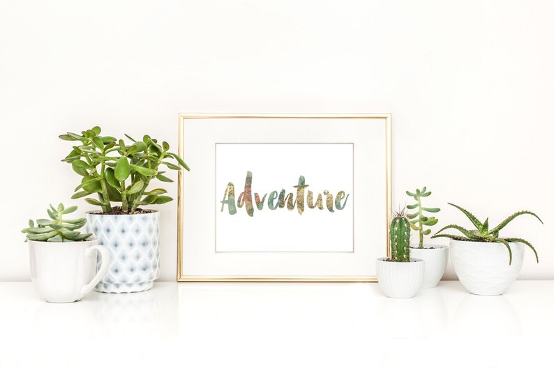 May include: A framed print with the word "Adventure" in a colorful, textured font. The gold-framed artwork is displayed on a white surface, flanked by various potted succulents and cacti in white and patterned ceramic pots, creating a bright, inviting scene.