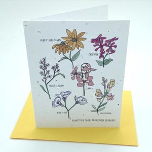 Wildblumen Grusskarte, umweltfreundliche Wildblumen Pflanzkarte, umweltfreundliche Wildblumen Pflanzkarte, umweltfreundliche Wildblumen Karte für Freundschaft, 30 x 30 cm