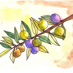 May include: Watercolor illustration of an olive branch with green leaves and olives in shades of green, purple, and brown. The branch is brown, and the background has yellow and orange watercolor washes.