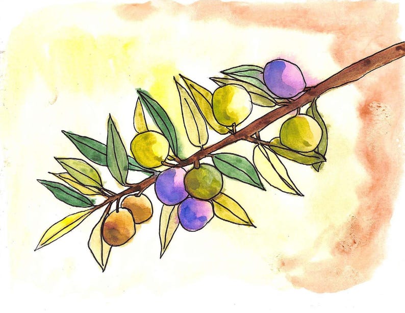 May include: Watercolor illustration of an olive branch with green leaves and olives in shades of green, purple, and brown. The branch is brown, and the background has yellow and orange watercolor washes.