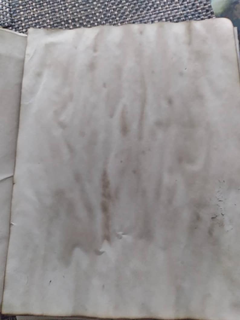 K&ouml;nnte beinhalten: Offenes Buch mit gealterten, cremefarbenen Seiten. Die Seiten haben ein fleckiges Aussehen mit dunkleren braunen Flecken und Punkten, was auf Alter oder eine Vintage-&Auml;sthetik hindeutet. Das Papier hat eine leicht strukturierte Oberfl&auml;che.