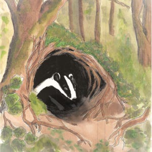 Aquarelkaarten, zwaar koudgeperst papier (140 pound, A2 en A7) afbeelding 8