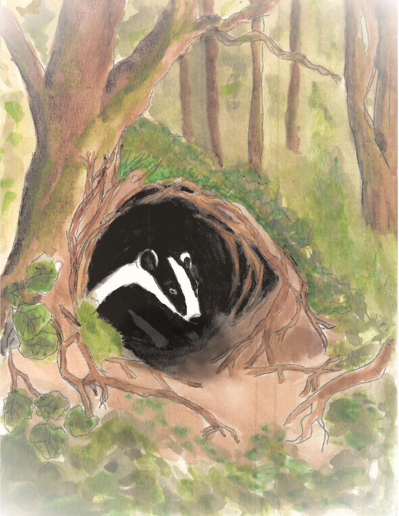Aquarelkaarten, zwaar koudgeperst papier (140 pound, A2 en A7) afbeelding 8