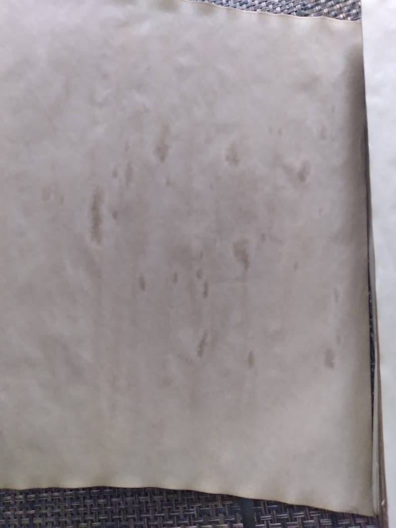 K&ouml;nnte beinhalten: Ein Blatt gealtertes Papier mit dunkelbraunen Flecken und Flecken. Das Papier hat eine hellbraune Farbe und eine leicht strukturierte Oberfl&auml;che. Die R&auml;nder des Papiers sind sichtbar und das Papier ist leicht zerknittert.