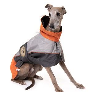 Greyhound Lurcher & Whippet Lightweight Waterproof Rain Coat/Jacket with chest bib, fully lined, Greyt Sweaters. Orange/Grey Colour image 3