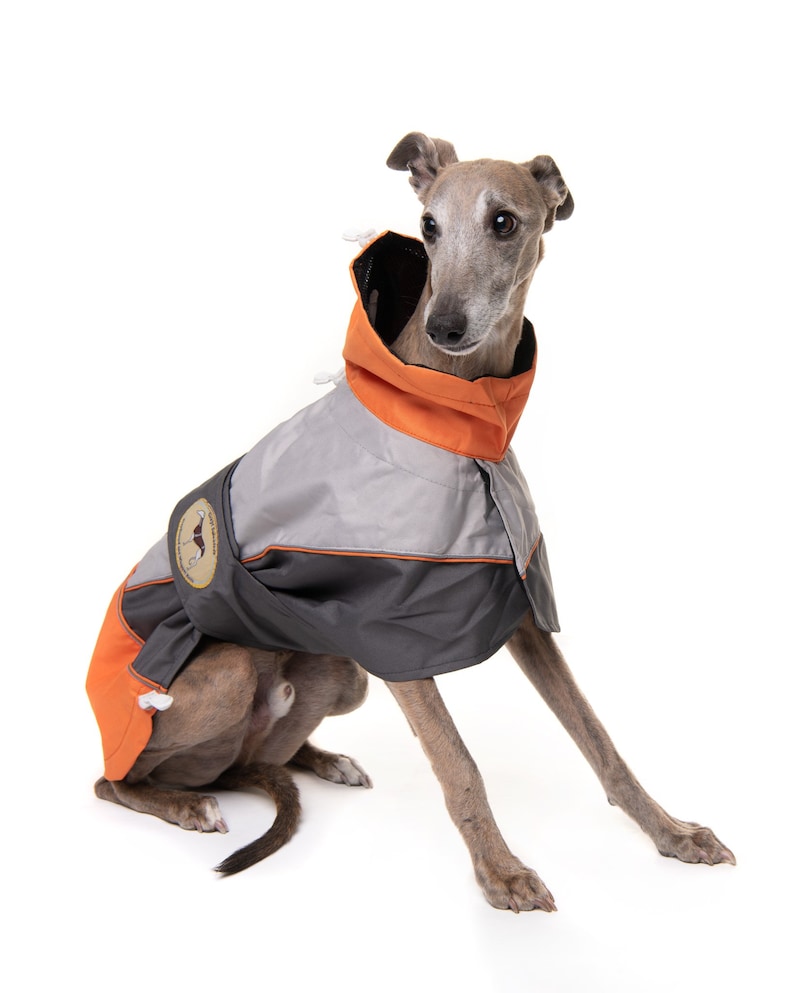 Greyhound Lurcher & Whippet Lightweight Waterproof Rain Coat/Jacket with chest bib, fully lined, Greyt Sweaters. Orange/Grey Colour image 3