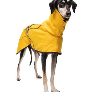May include: A black and tan dog wearing a yellow hooded dog coat with black trim.