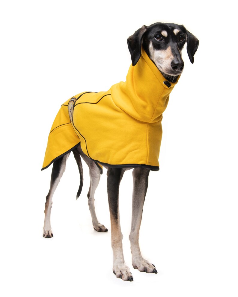 May include: A black and tan dog wearing a yellow hooded dog coat with black trim.