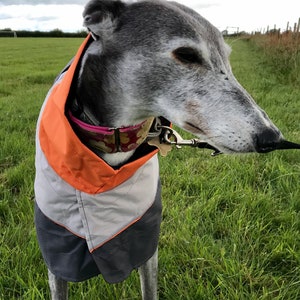 Greyhound Lurcher & Whippet Lightweight Waterproof Rain Coat/Jacket with chest bib, fully lined, Greyt Sweaters. Orange/Grey Colour image 9