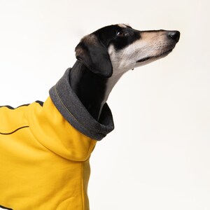 May include: A black and tan dog wearing a yellow hooded sweater with black trim. The dog is looking up and to the right.