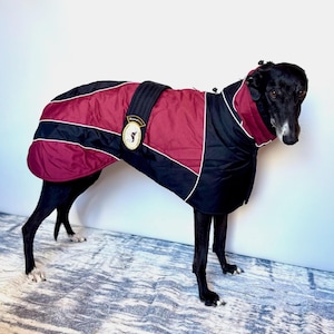 Greyhound Lurcher & Whippet Padded Winter Jacket with chest bib, fleece lined, waterproof. Greyt Sweaters. NEW COLOUR COMBO! Black/Wine