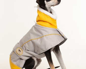 Greyhound Lurcher & Whippet Padded Winter Jacket with chest bib, fleece lined, waterproof. Greyt Sweaters *NEW IN *Light Grey/ Sunny Yellow*