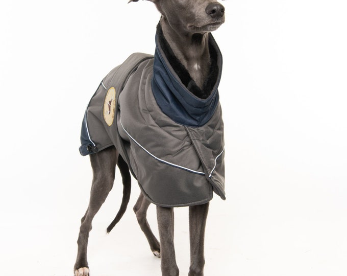 Greyhound Lurcher & Whippet Padded Winter Jacket with chest bib, fleece lined, waterproof. Greyt Sweaters. Navy Blue/Grey